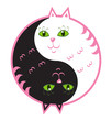 Cute cats yin yang