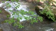 mountain stream