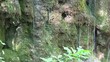 mountain stream