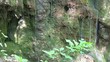 mountain stream