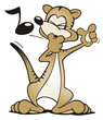 Meerkat whistling