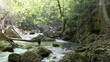 mountain stream