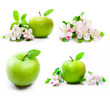 green apple with spring flowers