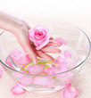 Hands Spa. Manicure Hands Spa. Manicure
