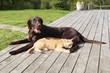 Best Friends