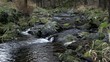 Naturpark mit einem Fluss und Wassersprudel in HD 1080 Naturpark mit einem Fluss und Wassersprudel in HD 1080