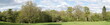Panoramic View of Trees in Spring