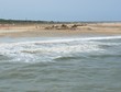 Beach Restoration