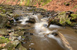 Swedish wild creek