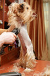 grooming