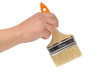 hand and paintbrush