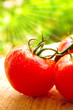 Sonnengereifte Fleischtomaten