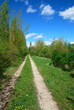 Sentiero in giornata soleggiata Sentiero in giornata soleggiata