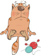 canvas print picture - Cat and threads. Cartoon
