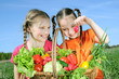 Two little girls with basket of vegetables