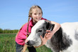 Photo: little girl petting a beautiful calf little girl petting a beautiful calf