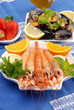 CROSTACEI E MOLLUSCI CROSTACEI E MOLLUSCI