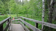 Holzbrücke im Schwarzwald