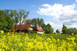 Bauernhof im Schwarzwald