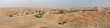 Abu Dhabi's desert dunes