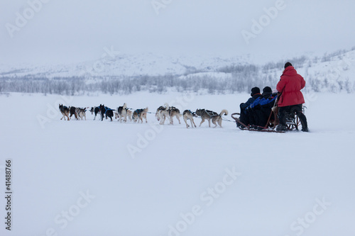 Photo: Husky dog sledding Husky dog sledding