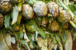 artichoke