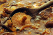 Sugo ai funghi Mushroom sauce 蘑菇酱
