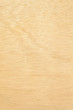 wood pattern