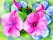 Photo en ligne au meilleur prix watercolors, rose and blue flowerses