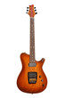 Beautiful electric guitar