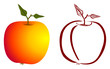 Apfel