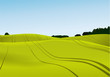 Rural landscape