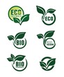 Abstract green banners with leafs. Vector badges and labels set.