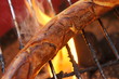 grillen