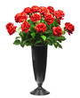 Photo: bouquet of red roses isolated on white background bouquet of red roses isolated on white background