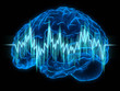 The human brain