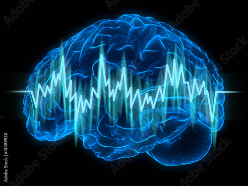 Illustration: The human brain The human brain