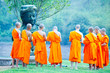 monk learning