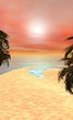 Photo: soleil tropical soleil tropical