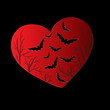 Scars of heart