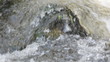 Wildbach im Schwarzwald