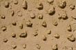 Wall with bulging pattern useful as a background