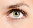 Foto: Beautiful young woman's eye Beautiful young woman's eye