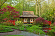 Japanese garden