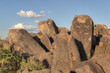 Petroglyphs at Saguaro National Park