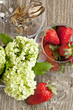 Strawberries and flowers Strawberries and flowers
