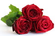 rote Rosen
