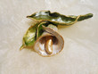 calla flower