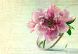 spring flowers in vase on white background spring flowers in vase on white background