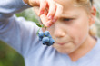 girl holding blueberries
